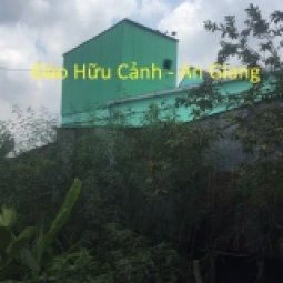 Nhà yến tại  Đào Hữu Cảnh - Châu Phú - An Giang